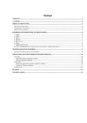 Interneto naudojimas mobiliuose įrenginiuose 2 puslapis