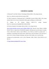 Interneto naudojimas mobiliuose įrenginiuose 13 puslapis