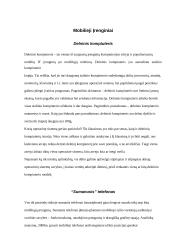 Interneto naudojimas mobiliuose įrenginiuose 4 puslapis