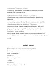 Interneto naudojimas mobiliuose įrenginiuose 5 puslapis