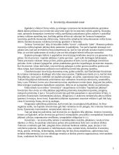 Investicinės veiklos teisinis reguliavimas 5 puslapis