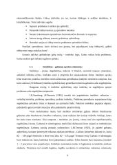Ypatingųjų (gabių) vaikų ugdymo galimybės mokykloje 6 puslapis