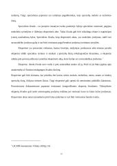 Įrodymų samprata 13 puslapis