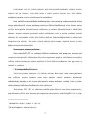 Įrodymų samprata 10 puslapis