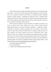ISM kodeksas ir jo įgyvendinimas laive ir laivybos įmonėje 3 puslapis