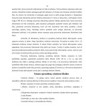 Išlaidos, susijusios su civilinės bylos nagrinėjimu 10 puslapis