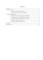 Juridinio asmens valdymo organo teisinės atsakomybės ypatumai 2 puslapis