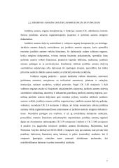 Juridinio asmens valdymo organo teisinės atsakomybės ypatumai 7 puslapis