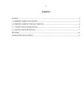 Juridinių asmenų reorganizavimas ir likvidavimas 2 puslapis