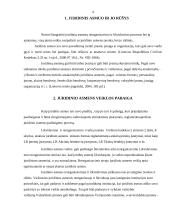 Juridinių asmenų reorganizavimas ir likvidavimas 4 puslapis