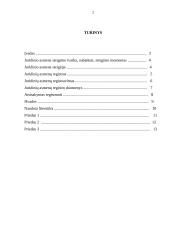 Juridinių asmenų steigimo tvarka 2 puslapis