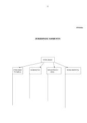 Juridinių asmenų steigimo tvarka 11 puslapis