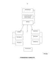 Juridinių asmenų steigimo tvarka 13 puslapis