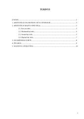 Ką Aristotelis mąsto apie sielą 2 puslapis