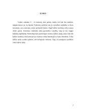 Vaiko kalbos raida ir teorijos apie tai 2 puslapis