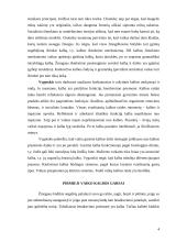 Vaiko kalbos raida ir teorijos apie tai 4 puslapis