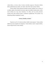 Vaiko kalbos raida ir teorijos apie tai 8 puslapis