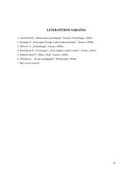 Konfliktų samprata bei struktūra 14 puslapis