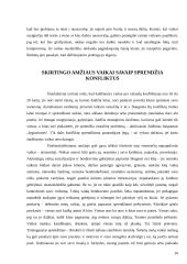 Konfliktų samprata bei struktūra 10 puslapis