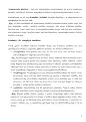 Konfliktai iš teorinės pusės 4 puslapis