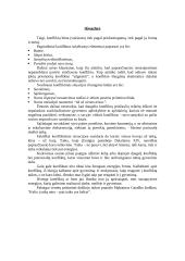 Kaip kyla konfliktai? 13 puslapis