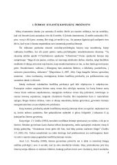 Konfliktų priežastys 3 puslapis