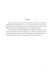 Konfliktų priežastys 8 puslapis