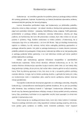 Konkurencija 2 puslapis