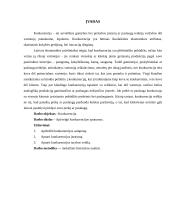 Konkurencijos svarba 2 puslapis