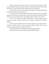 Konkurencijos svarba 13 puslapis