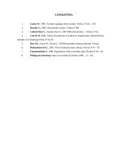 Konkurencijos svarba 16 puslapis