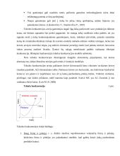 Konkurencijos svarba 4 puslapis