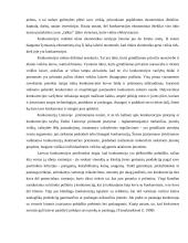 Konkurencijos svarba 6 puslapis