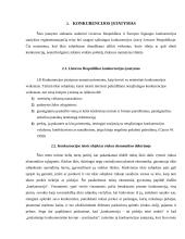 Konkurencijos svarba 7 puslapis