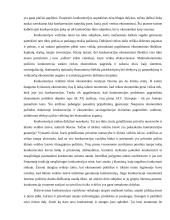 Konkurencijos svarba 8 puslapis