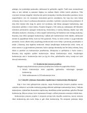 Konkurencijos svarba 9 puslapis