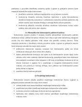 Konkurencijos svarba 10 puslapis