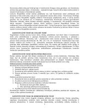 Konstitucinės teisės įtaka kitoms teisės šakoms 3 puslapis