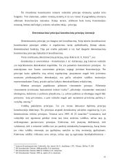 Konstitucinės teisės principai 11 puslapis