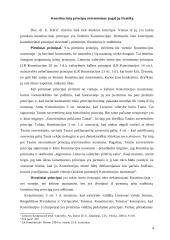 Konstitucinės teisės principai 4 puslapis