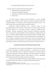 Konstitucinės teisės principai 7 puslapis