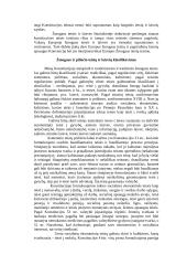 Konstitucija užtikrintos žmogaus teisės 2 puslapis