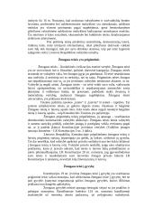 Konstitucija užtikrintos žmogaus teisės 3 puslapis