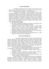 Konstitucija užtikrintos žmogaus teisės 5 puslapis