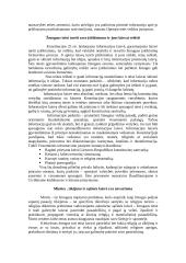 Konstitucija užtikrintos žmogaus teisės 6 puslapis