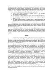 Konstitucija užtikrintos žmogaus teisės 9 puslapis