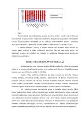 Kreditorinių reikalavimų tenkinimas 6 puslapis