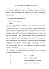 Neverbalinė kūno kalba 5 puslapis