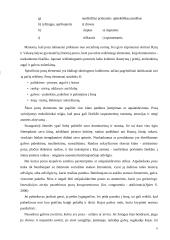 Neverbalinė kūno kalba 6 puslapis