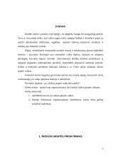 Laisvalaikio organizavimas su rizikos grupės vaikais 3 puslapis
